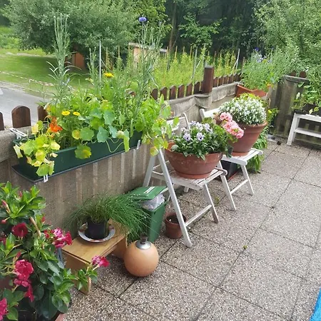 Haus Alpenblick Проживание в семье *
