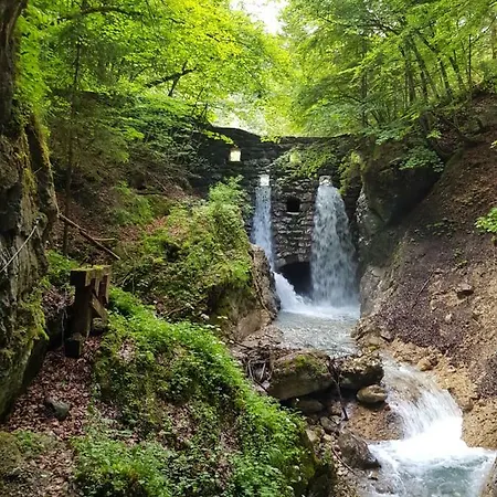 Проживание в семье Haus Alpenblick *